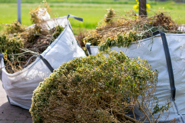 Best Residential Junk Removal  in Aquebogue, NY